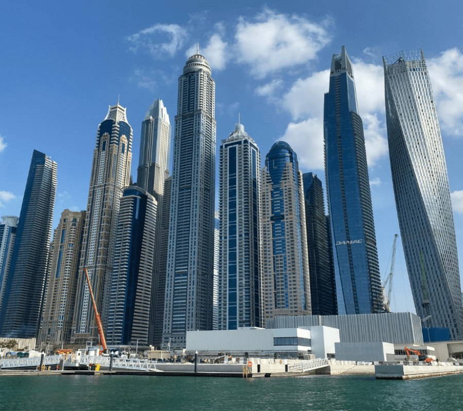 Untitled design (24)